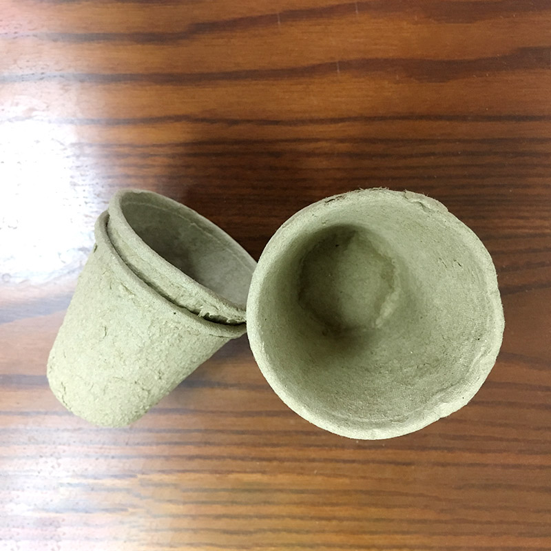 6 round seedling cups paper plastic